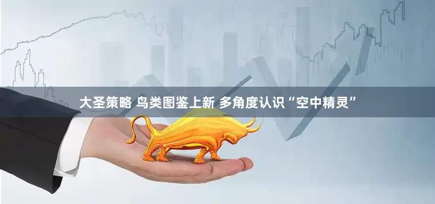 大圣策略 鸟类图鉴上新 多角度认识“空中精灵”