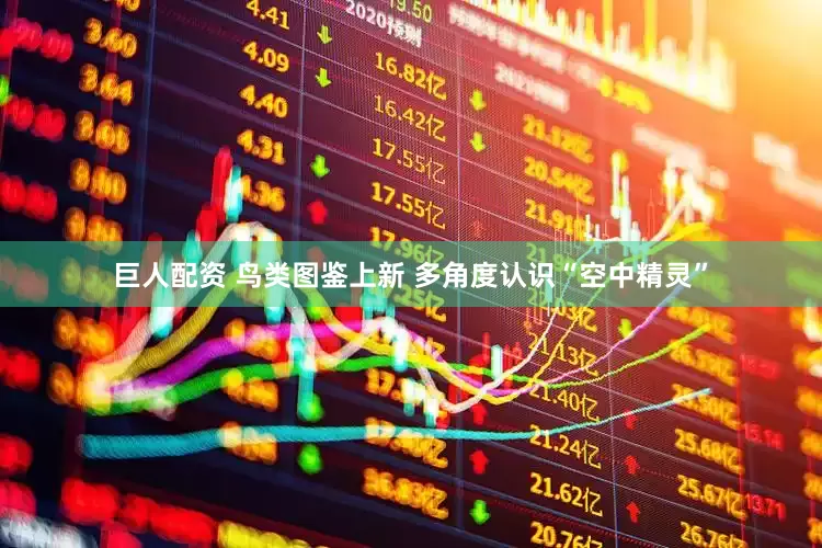巨人配资 鸟类图鉴上新 多角度认识“空中精灵”