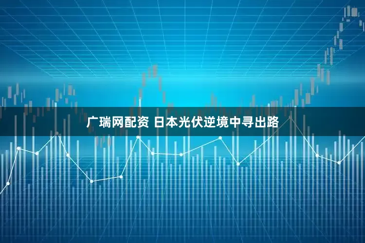 广瑞网配资 日本光伏逆境中寻出路