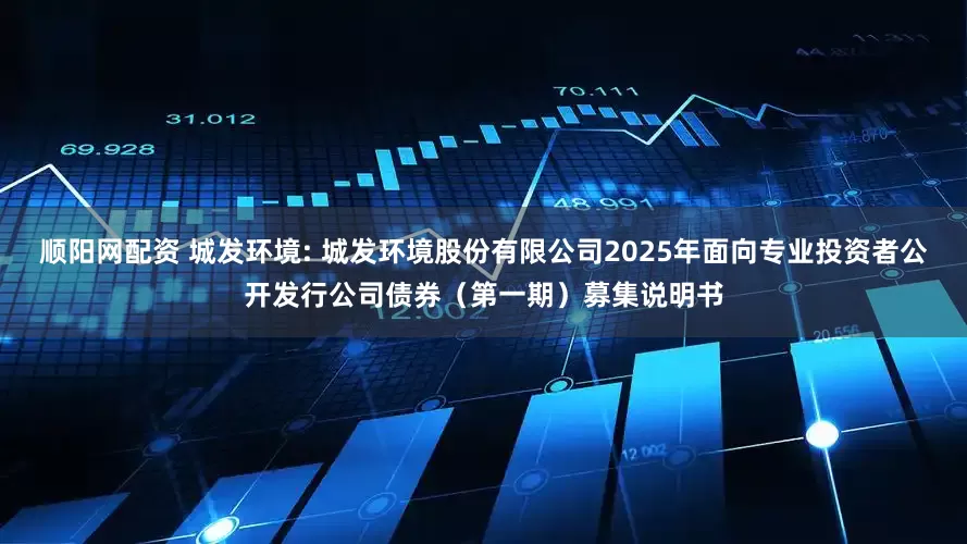 顺阳网配资 城发环境: 城发环境股份有限公司2025年面向专业投资者公开发行公司债券(第一期)募集说明书