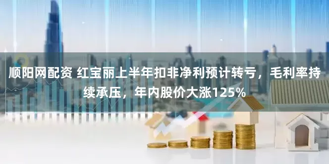 顺阳网配资 红宝丽上半年扣非净利预计转亏，毛利率持续承压，年内股价大涨125%