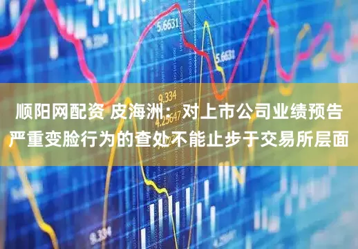 顺阳网配资 皮海洲:对上市公司业绩预告严重变脸行为的查处不能止步于交易所层面